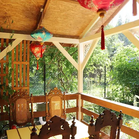 Wróżki - Sanktuarium Laparica W Puszczy Białej * Dybki