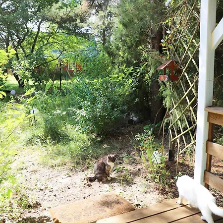 Wróżki - Sanktuarium Laparica W Puszczy Białej Сasa de vacaciones Dybki