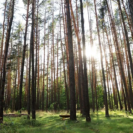 Wróżki - Sanktuarium Laparica W Puszczy Białej Сasa de vacaciones Dybki