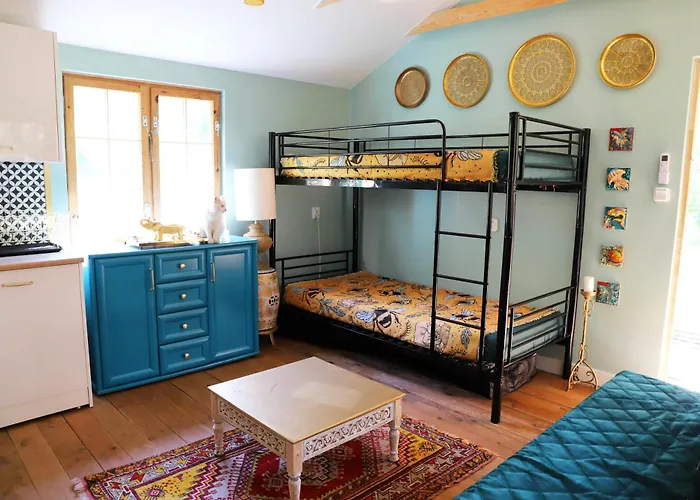 Wrozki - Czary Mary U Tamary - Kocia Oaza W Puszczy Bialej * Dybki