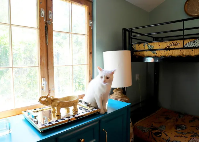 Holiday home Wrozki - Czary Mary U Tamary - Kocia Oaza W Puszczy Bialej