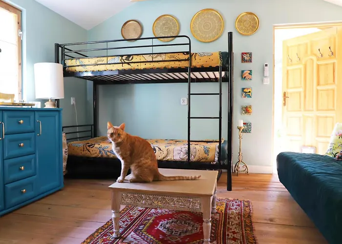 Wrozki - Czary Mary U Tamary - Kocia Oaza W Puszczy Bialej Holiday home Dybki