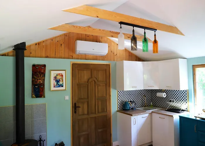 Wrozki - Czary Mary U Tamary - Kocia Oaza W Puszczy Bialej *