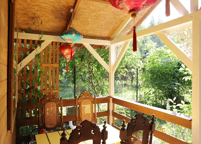 Wrozki - Czary Mary U Tamary - Kocia Oaza W Puszczy Bialej * Dybki