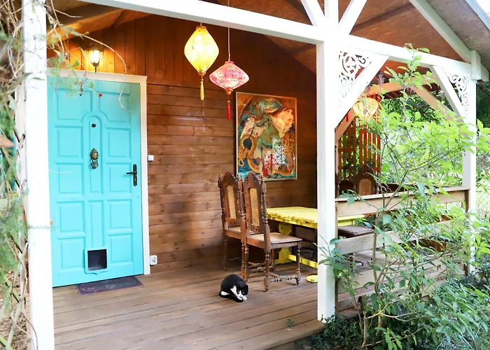 Wrozki - Czary Mary U Tamary - Kocia Oaza W Puszczy Bialej *