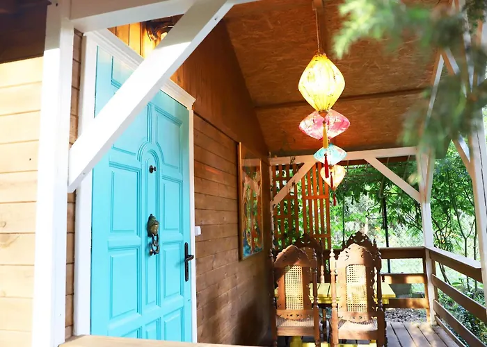 Wrozki - Czary Mary U Tamary - Kocia Oaza W Puszczy Bialej