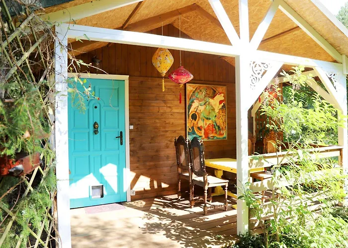 Wrozki - Czary Mary U Tamary - Kocia Oaza W Puszczy Bialej * Dybki