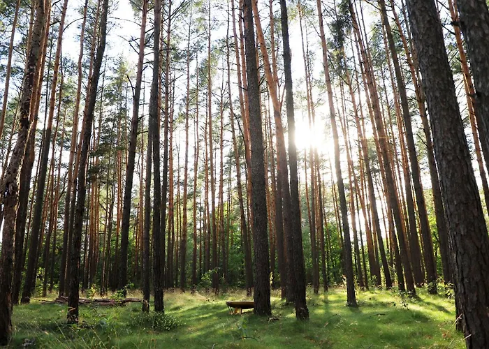 Wrozki - Czary Mary U Tamary - Kocia Oaza W Puszczy Bialej Holiday home Dybki