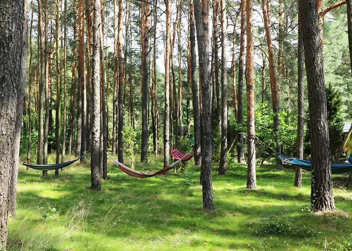 Wrozki - Czary Mary U Tamary - Kocia Oaza W Puszczy Bialej Holiday home