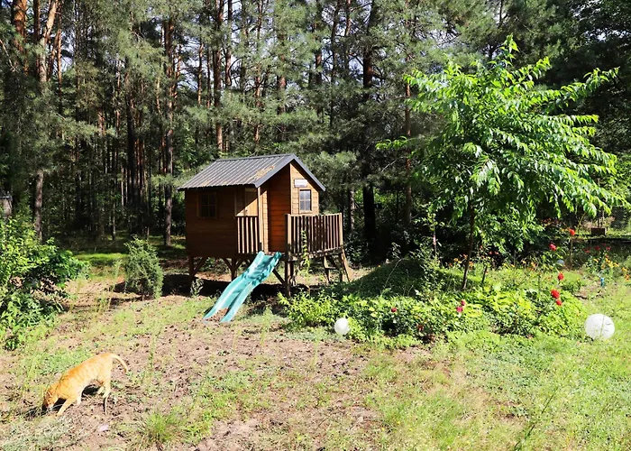 Wrozki - Czary Mary U Tamary - Kocia Oaza W Puszczy Bialej Holiday home